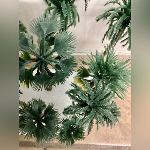 Variety Of Rainforest Palm Tree Set - Picture 13 of 16